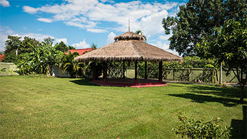 Peaceful Environment