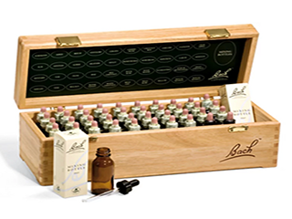 Bach Flower Remedies